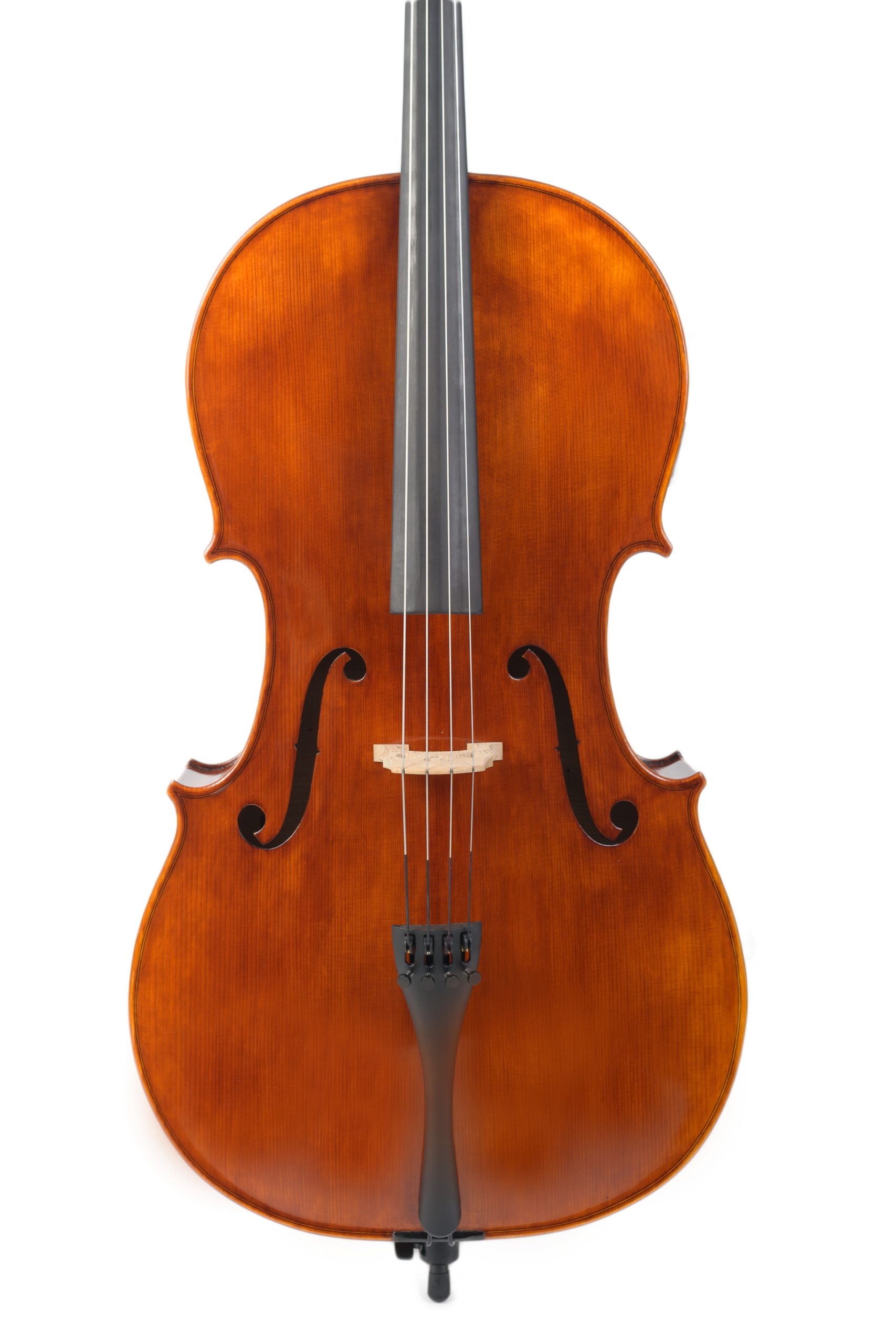 Violoncello_05