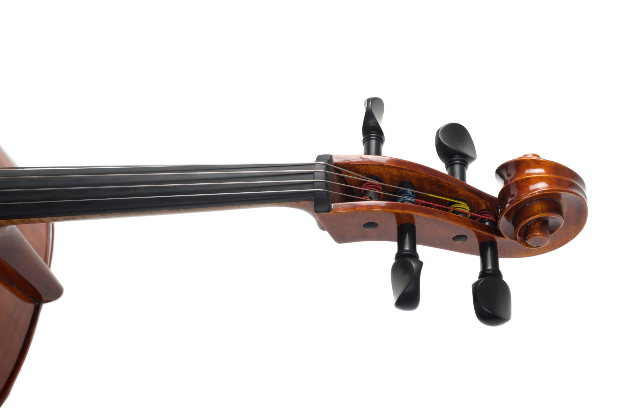 Violoncello_06