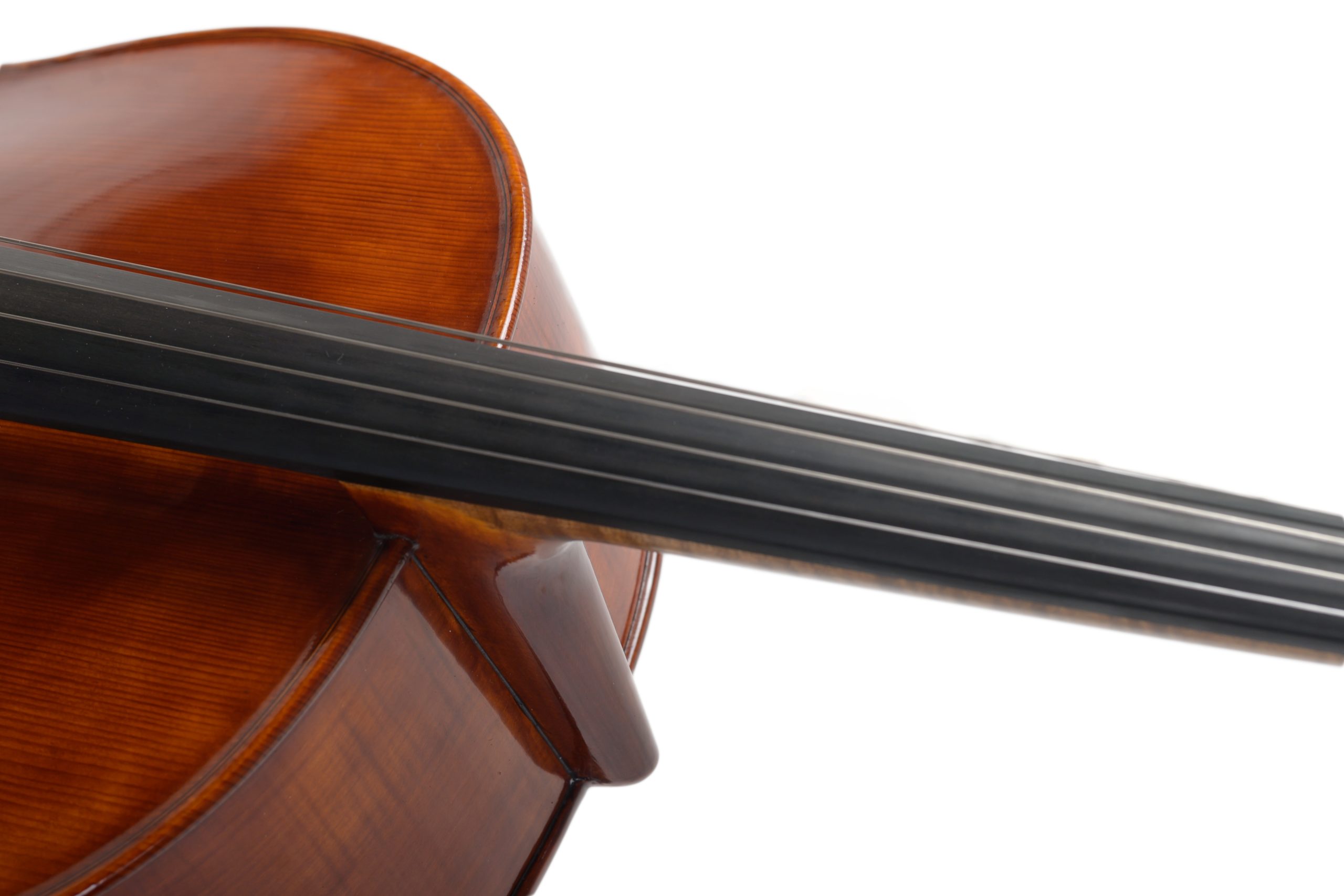 Violoncello_07