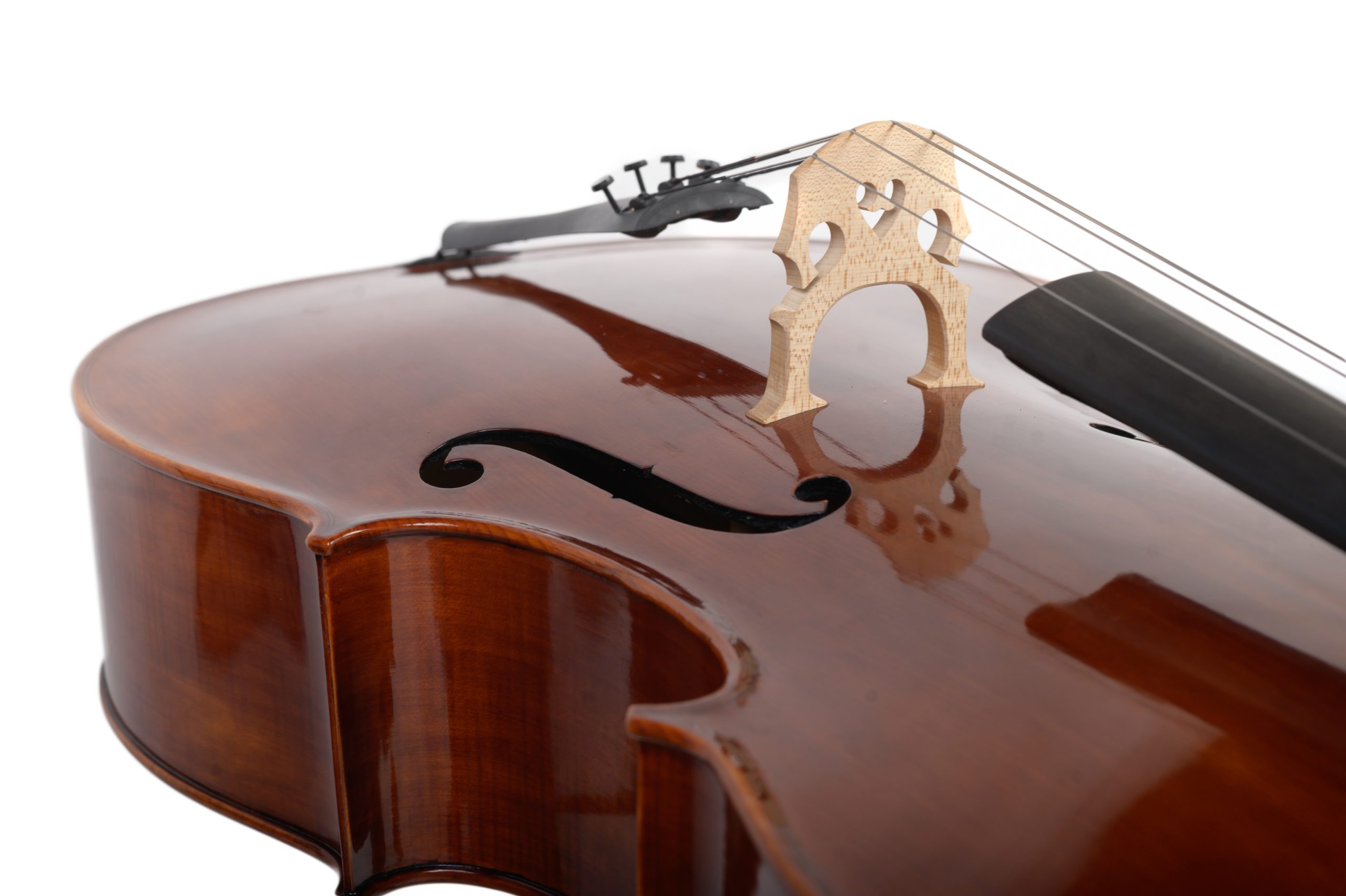 Violoncello_08