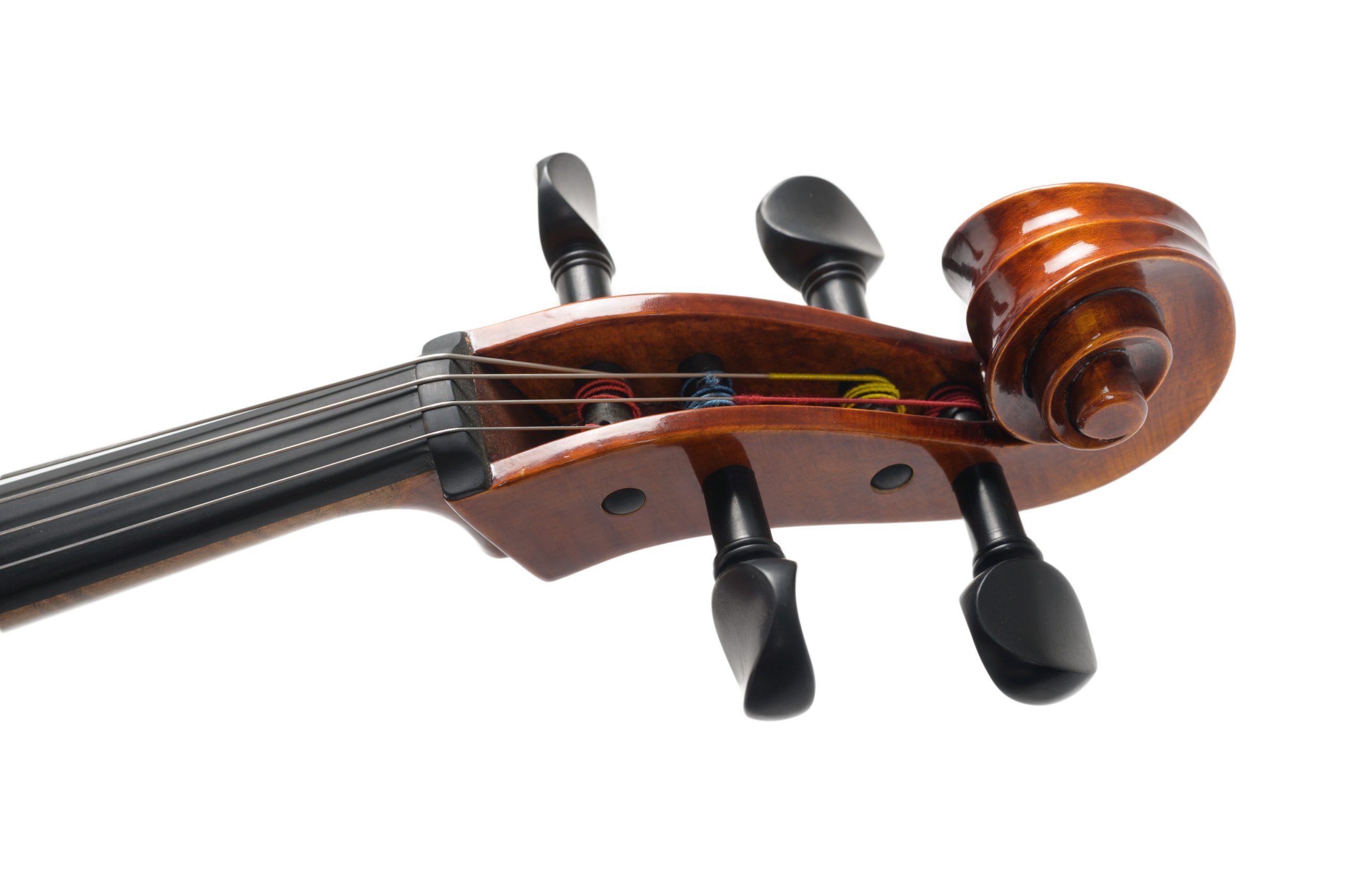 Violoncello_11