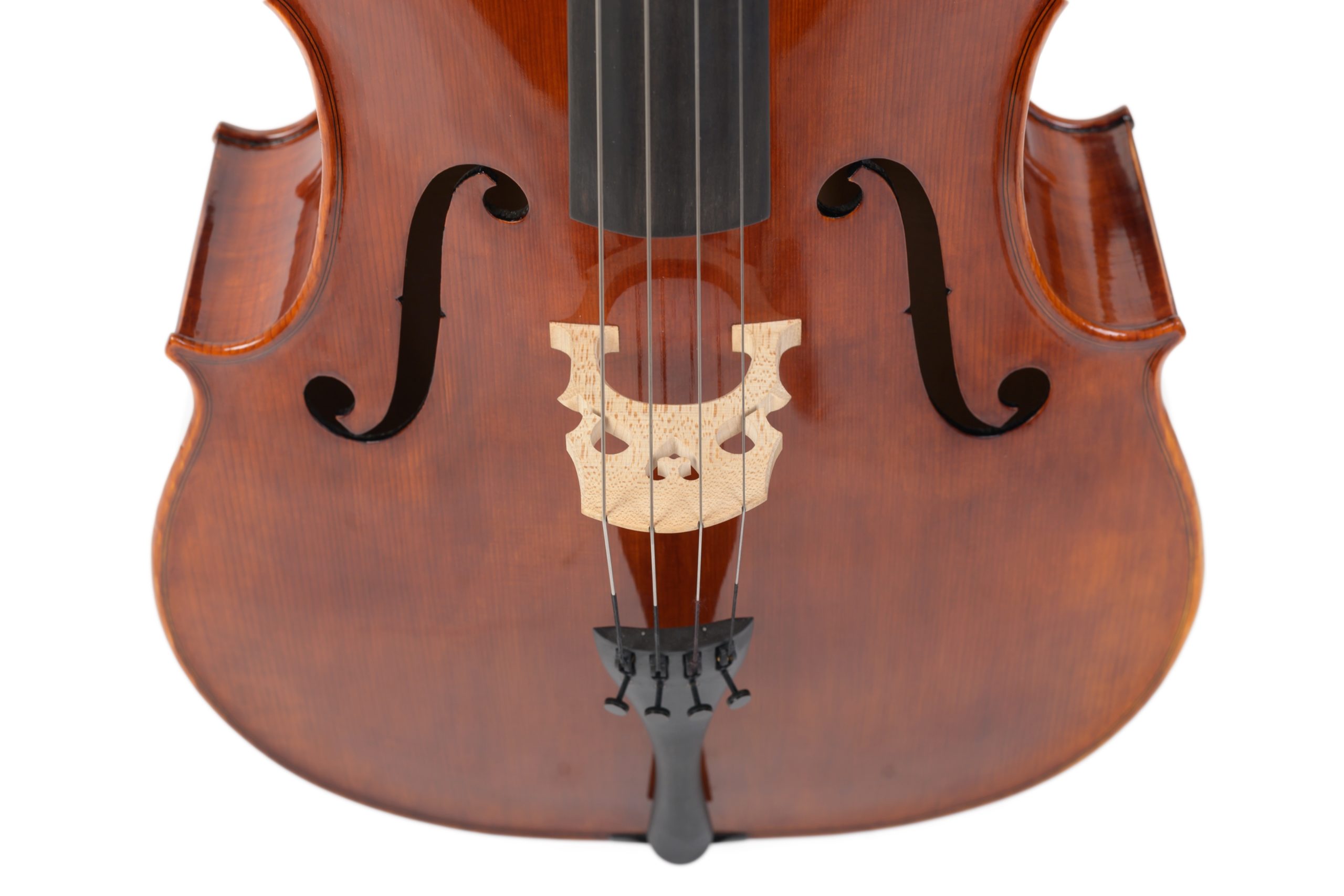 Violoncello_12