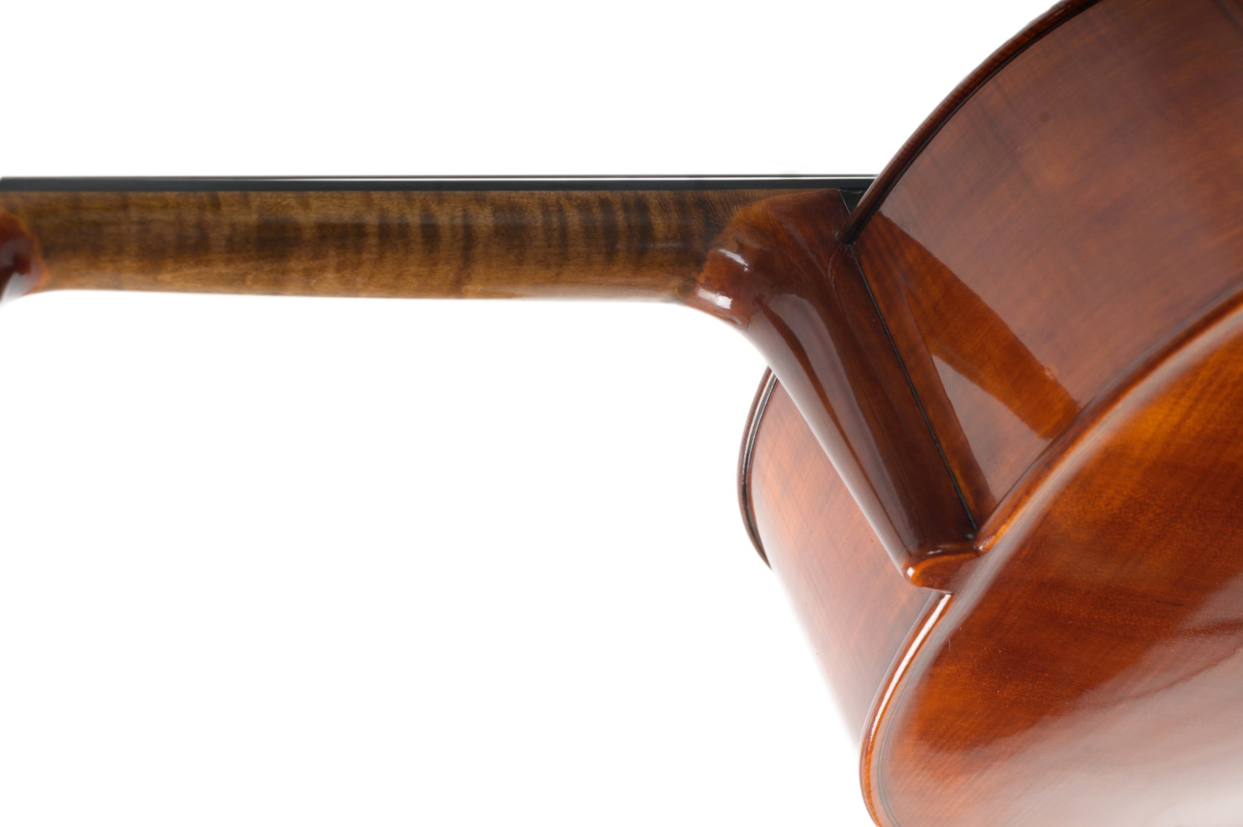 Violoncello_13