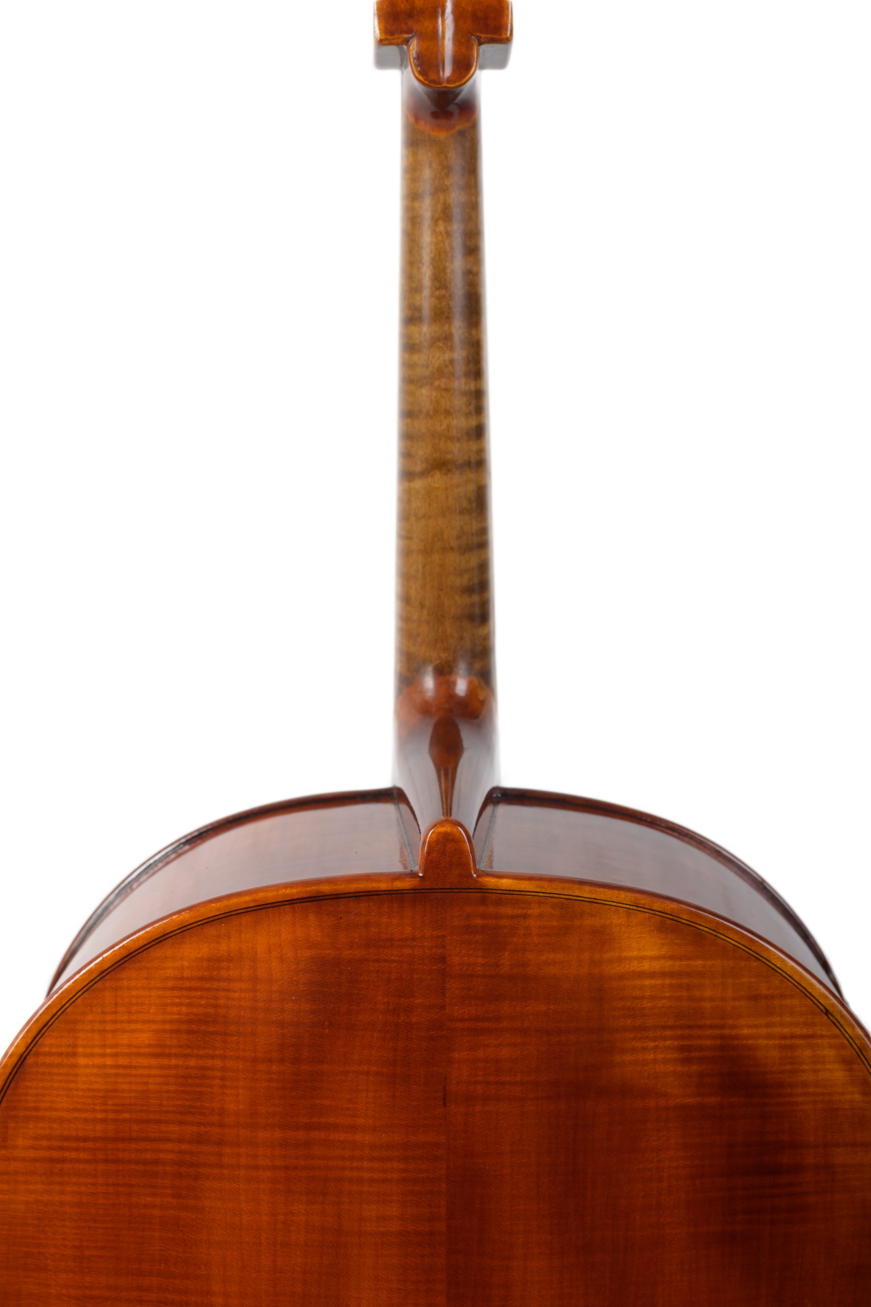 Violoncello_14