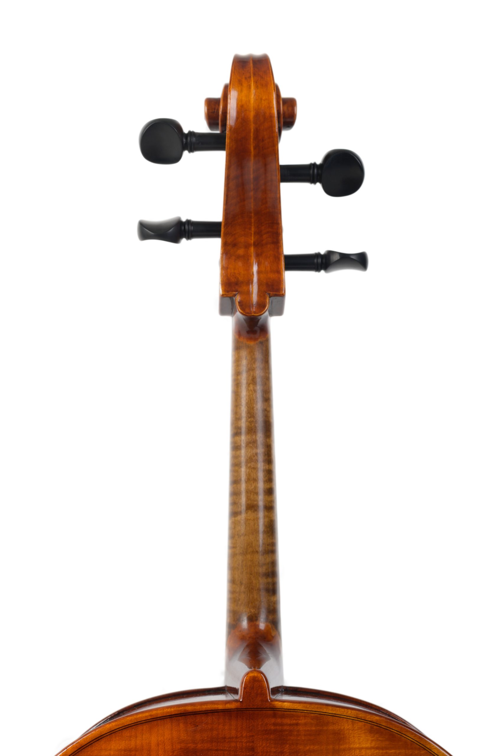 Violoncello_15