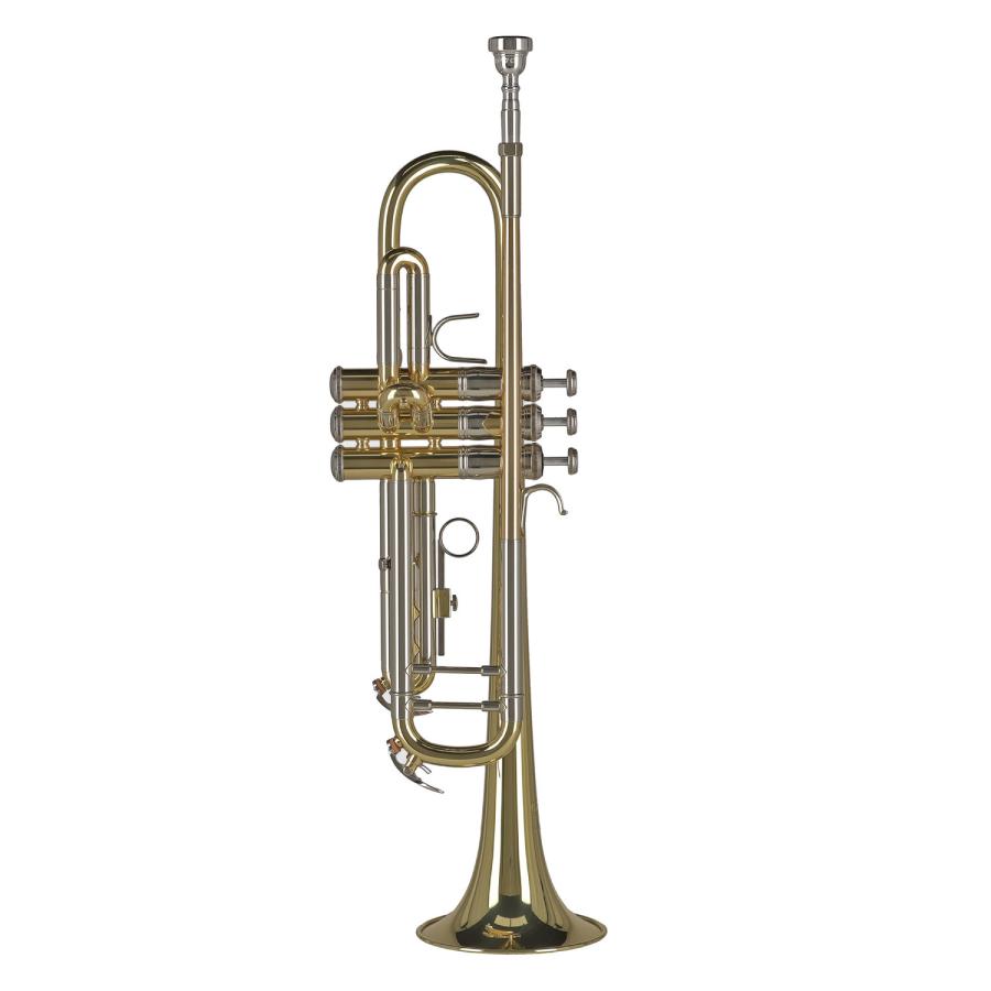 GWTR501